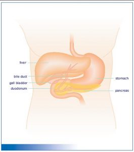 liver resection