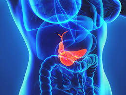 gallbladder-medical-information-surgery-nyc-03