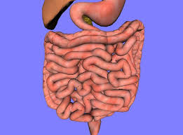 How to prevent small bowel obstruction