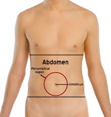 abdominal-hernia-info-02