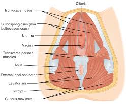 signs-of-hernia-what-look-for-02