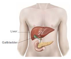 gallbladder-surgery-nyc-01